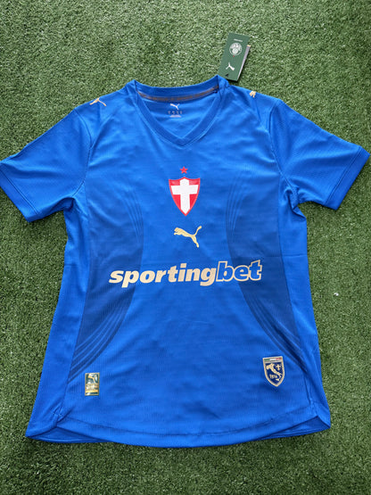 Camisa Palmeiras Jogador Third 26/27